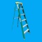Davidson Fiberglass 6' Ladder