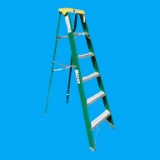 Davidson Fiberglass 6' Ladder