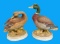 (2) Bisque Mallard Duck Figurines by Andrea
