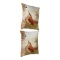 (2) Decorative Bird Pillows by Robbin Rawlings