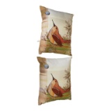 (2) Decorative Bird Pillows by Robbin Rawlings