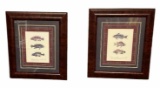 (2) Framed and Matted Fish Prints
