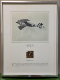 Framed Likeness of Albatros D.Va No 7161/17