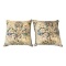 (2) Decorative Pillows