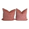 (2) Decorative Pillows