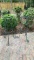 (2) Outdoor Iron Plant Stands—11 1/4” Diameter,