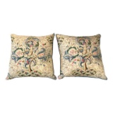 (2) Decorative Pillows