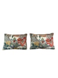 (2) Decorative Pillows