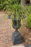 Iron planter on Stand