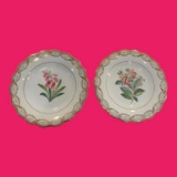 (2) 19th Century Staffordshire Dessert Plates