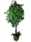 Large Artificial Tree in Woven Basket Planter -