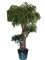 Large Artificial Tree in Ceramic Planter -