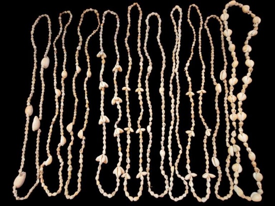 (10) Shell Necklaces