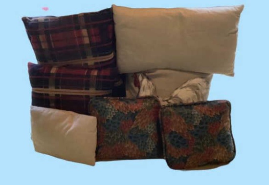 (7) Throw Pillows