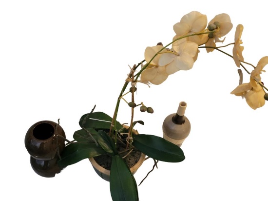 Artificial Flower in a Ceramic Pot & 2 Ceramic
