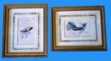 (2) Framed Hummingbird Prints-9.75” x 11.75”