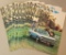 (15) 1977 Chevy Nova Brochures