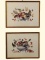 (2) Framed Butterfly Prints 16