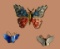 (3) Vintage Butterfly Brooches:  (1) DeNicola, (2)