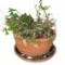 Terra Cotta Flower Pot, 23