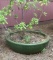 Large Round Ceramic Planter - 34” D, 4” H