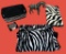 Zebra Themed Accessories Including Rug and