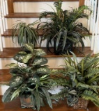 (4) Decorative Plants