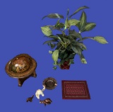 Assorted Decorative Accessories-Plant is 24” High