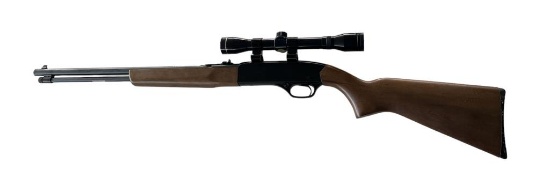 Winchester Model 190 22 Cal. L or LR