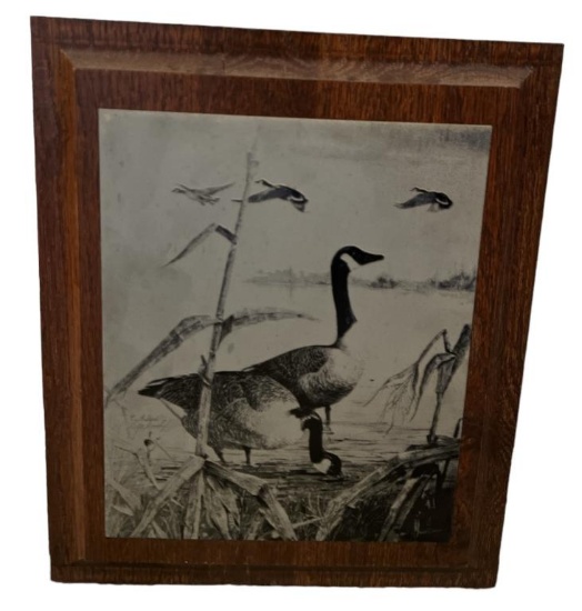 Nature Etching by Ralph McDonald on Wood Frame -