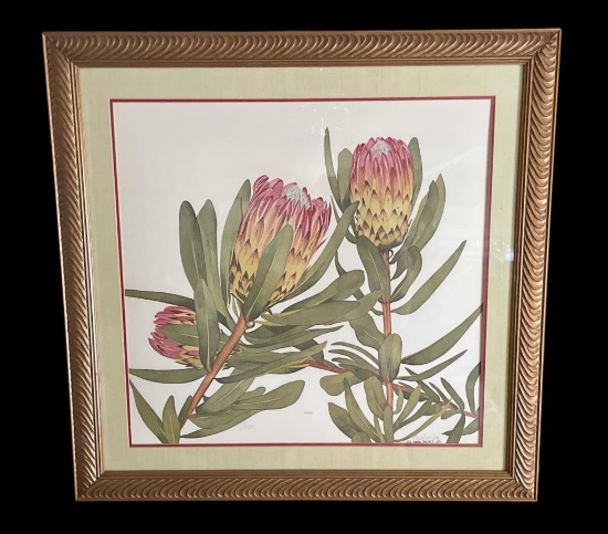 Framed, Matted, and Signed Limited Edition Earle