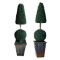 (2) Artificial Topiaries in Planters--65