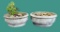 (2) Concrete Planters:  16