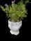 Round Footed Concrete Planter with Plant--13