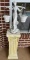 Resin Statue of Woman Balancing Buckets Planter