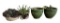 (4) Ceramic Planters with Plants (2) Sara