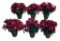 (6) Artificial Poinsettias