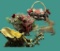 Assorted Christmas Decorations