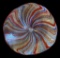 Viz Art Glass Hand Blown Wall Art