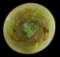 Viz Art Glass Hand Blown Wall Art