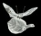 Swarovski Crystal Butterfly Figurine
