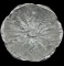Wilton Armetale Cabbage 13