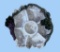 Grape Clay Art by Sara A. Barnhill, 6-Part Divided