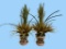 (2) Hand Made Clay Art Flower Pots with Attached
