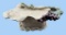 Hand Made Clay Art Footed Bowl by Sara A. Barnhill