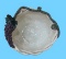 Hand Made Clay Art by Sara A. Barnhill--Bowl, 14