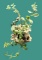 Sara Barnhill Pottery Planter with Plant