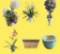 (6) Planters