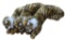 (3) Stuffed Tigers by Fiesta Concession Corp. -
