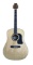 Washburn D 120 Dreadnought Acoustic Guitar